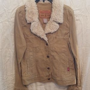 Hollister  jacket